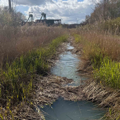 Natur und Industrie